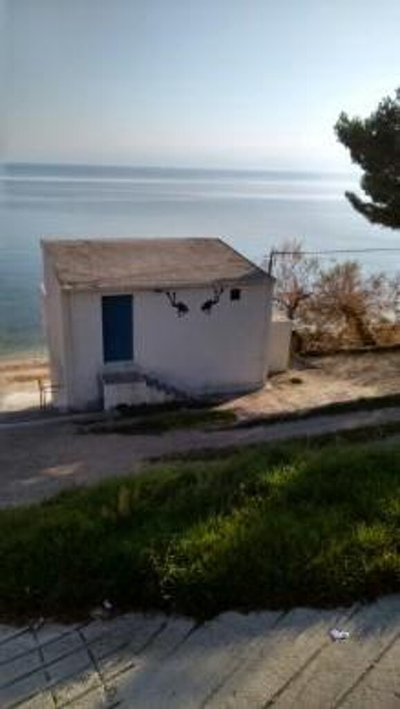 Image 3813355 - 11