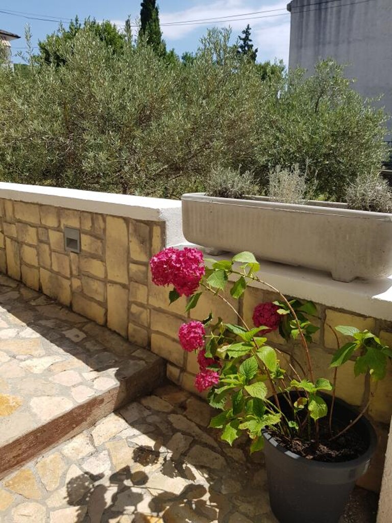 Image 3812446 - 7