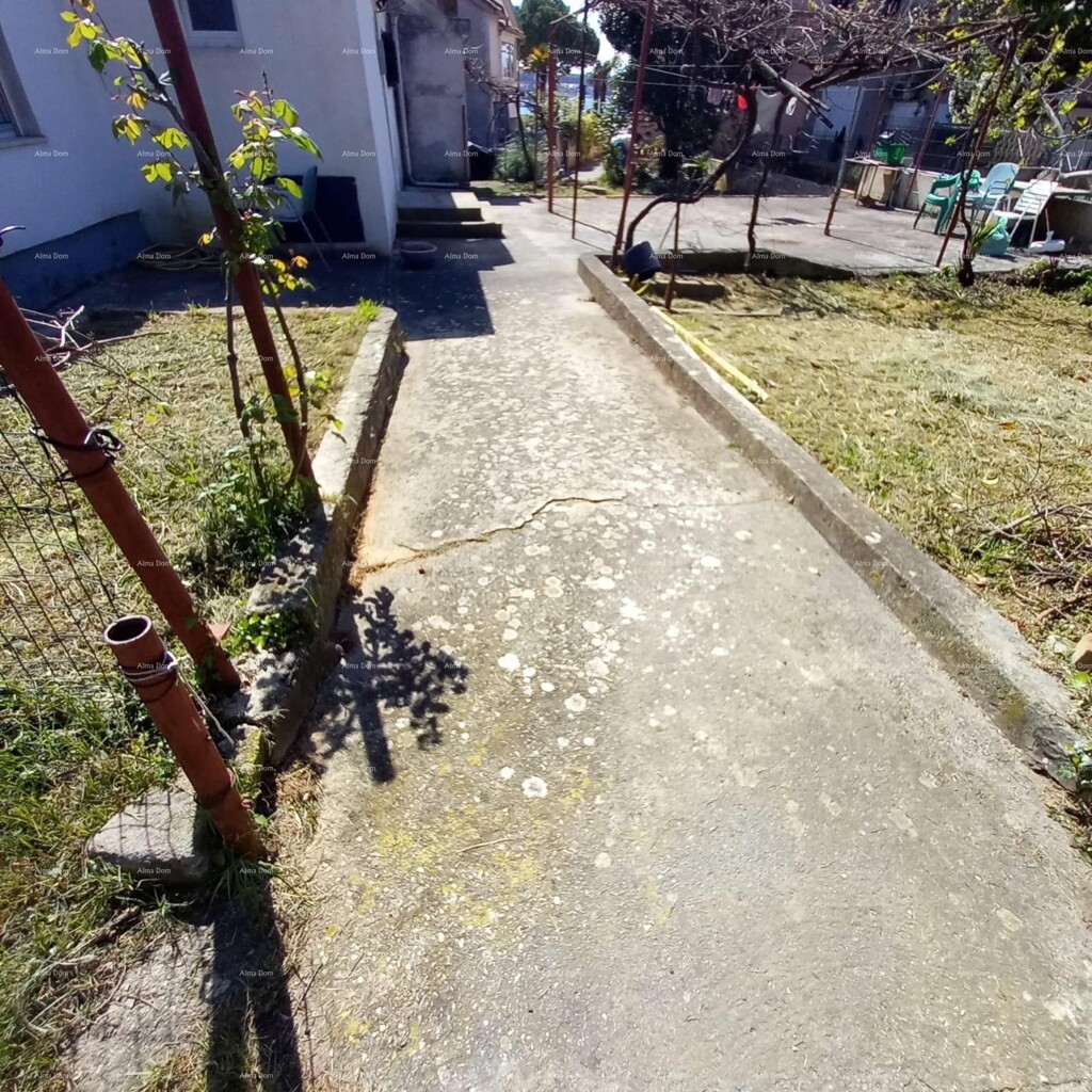 Image 19