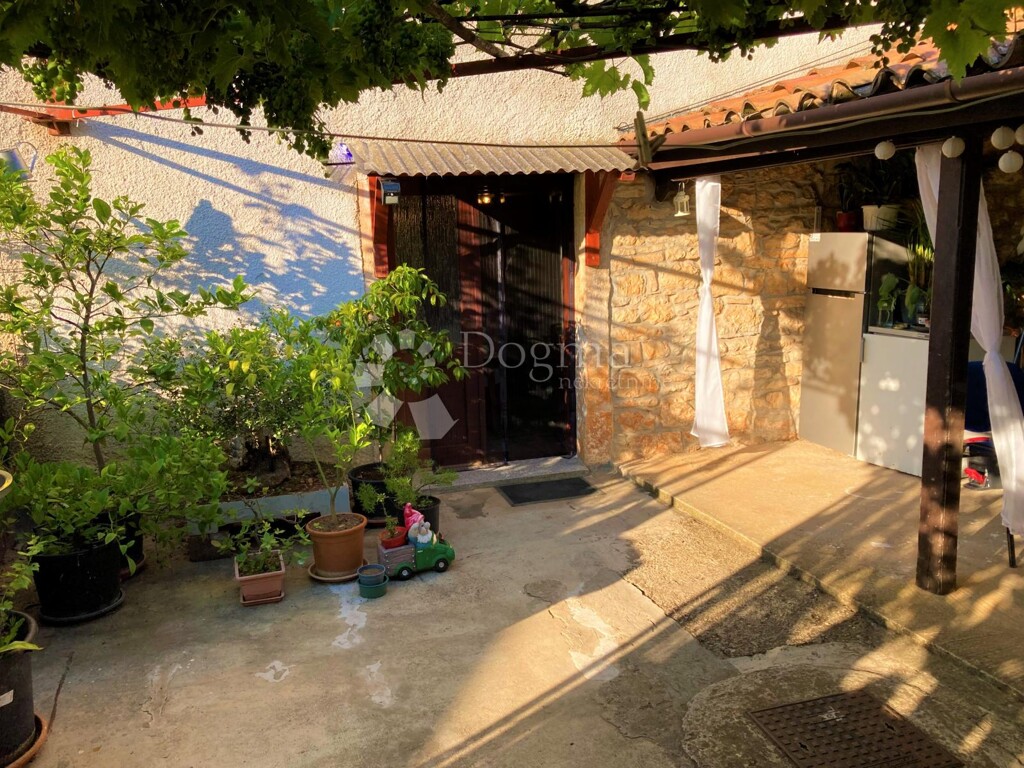 Image 15