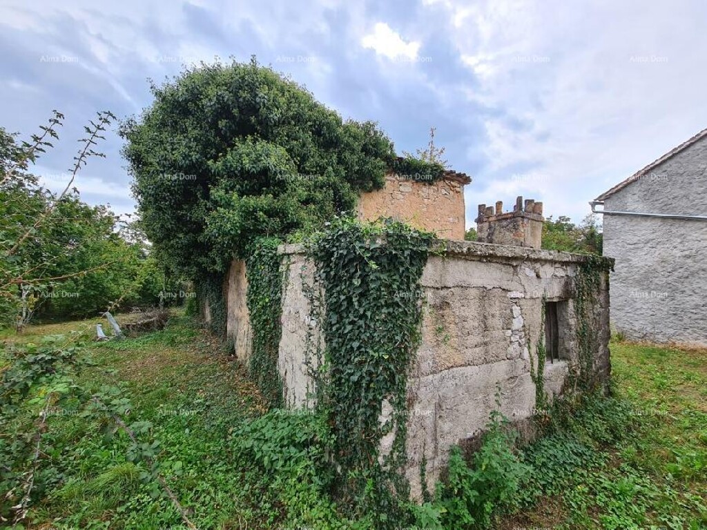Image 13