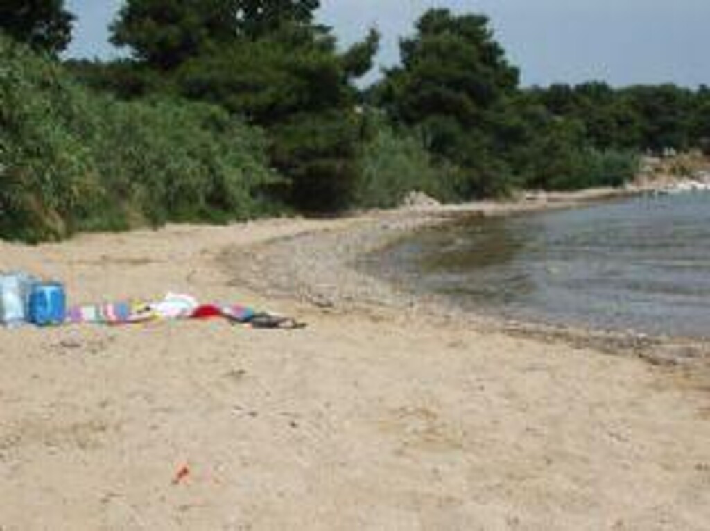 Image 3810591 - 10