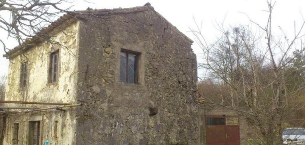 Image 16