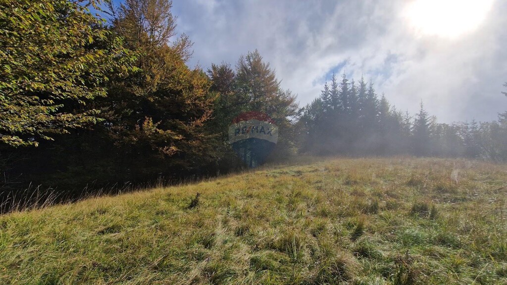 Image 5476427 - 3