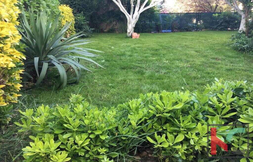 Image 29