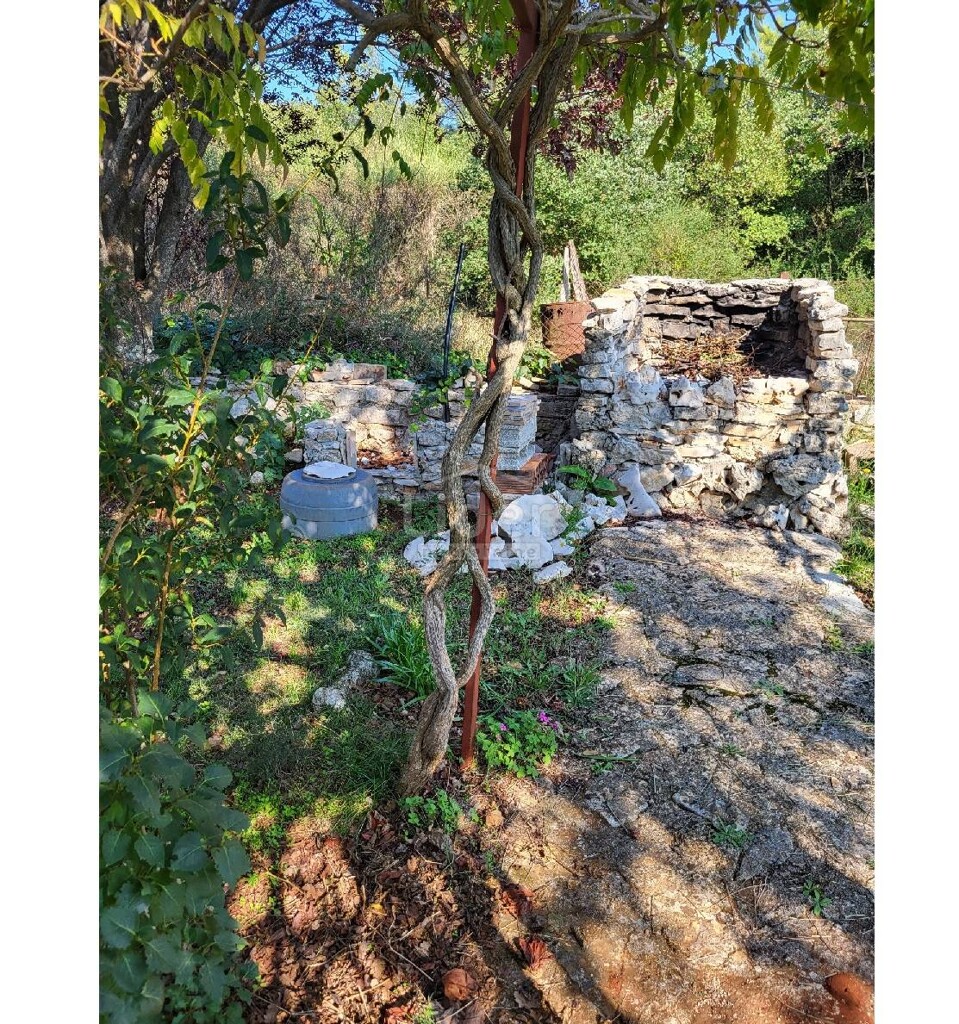 Image 18