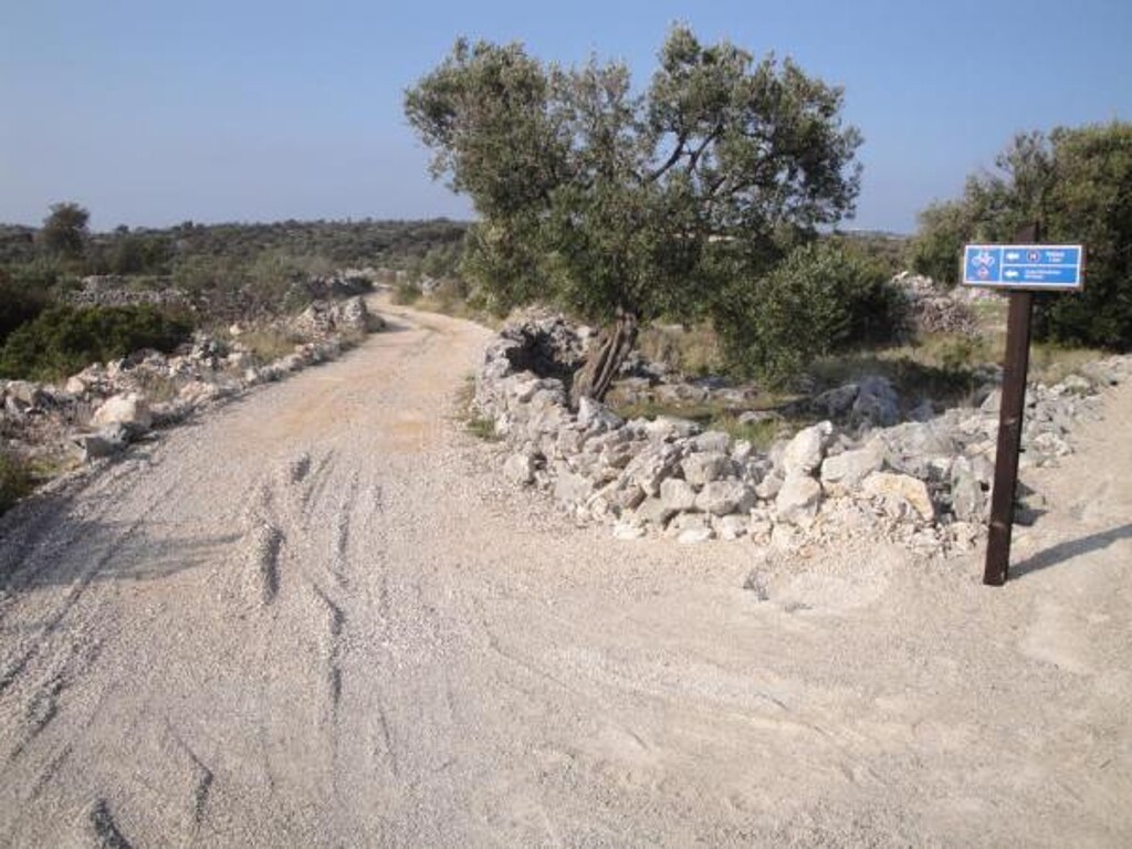 Image 27