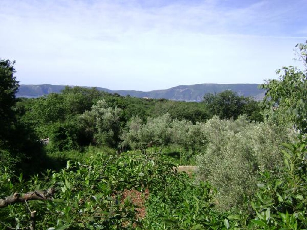 Image 3812949 - 17