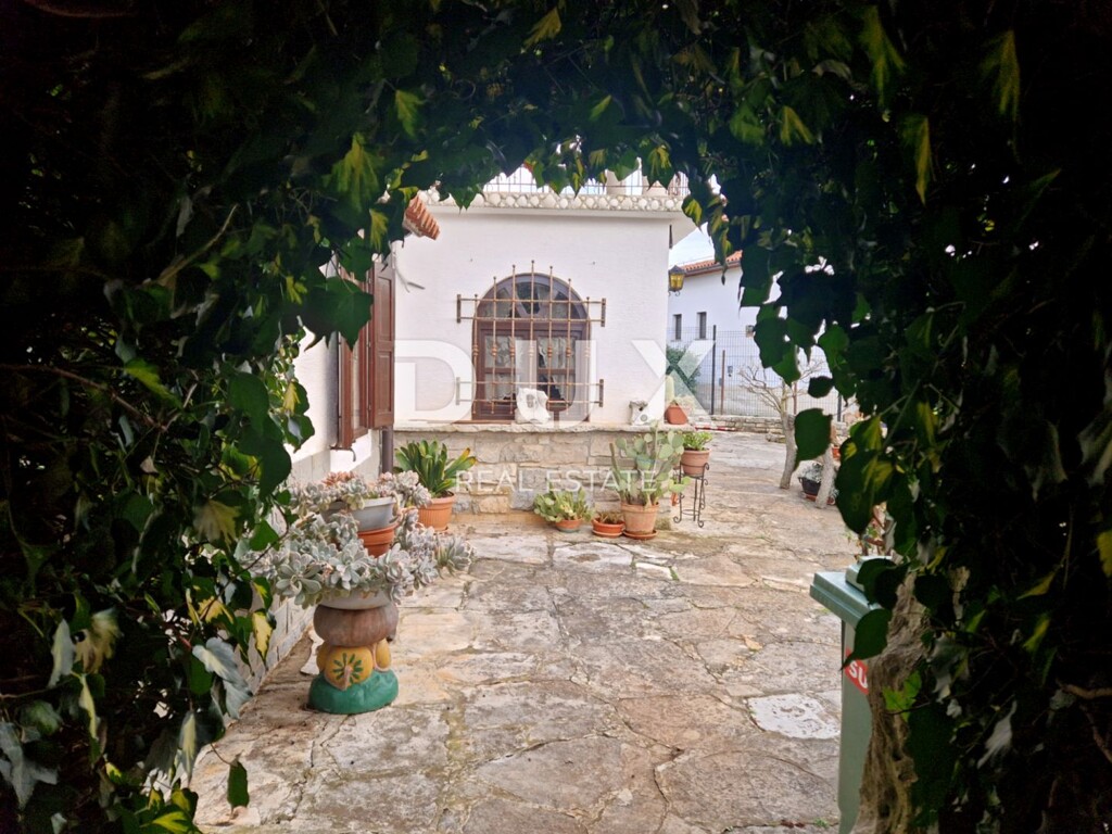 Image 15