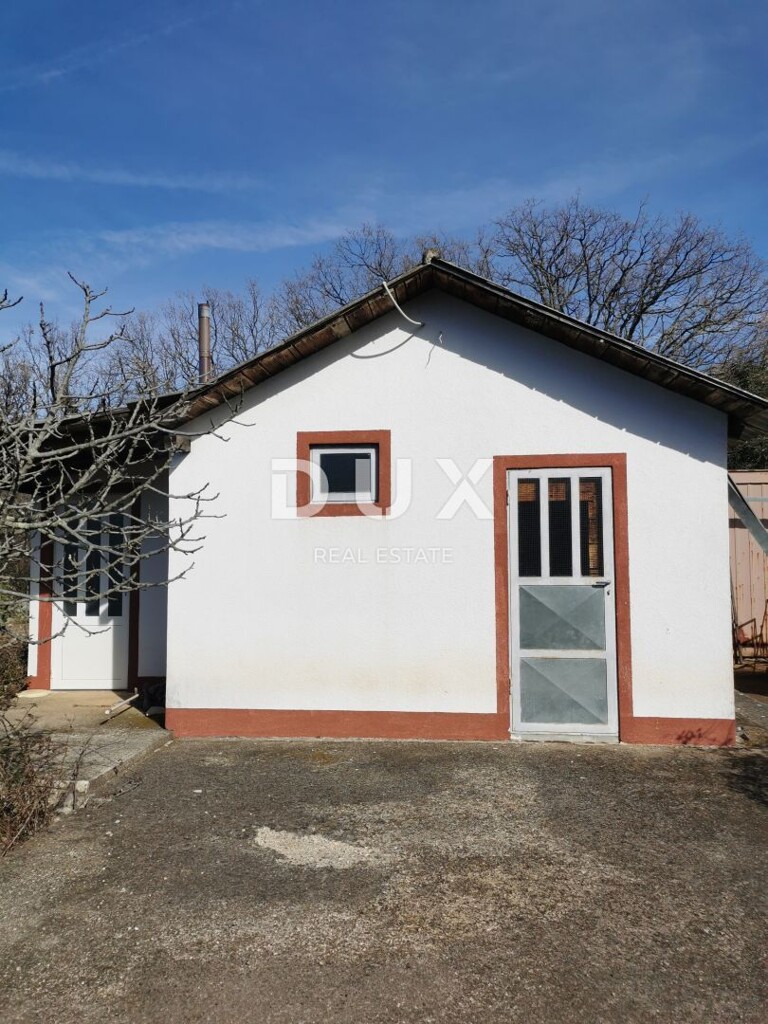 Image 9
