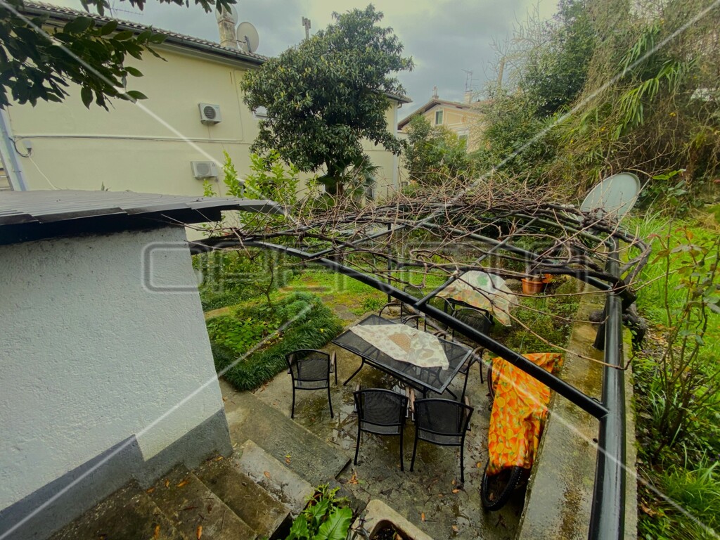 Image 16