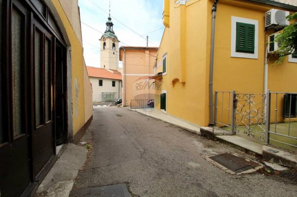 Image 12
