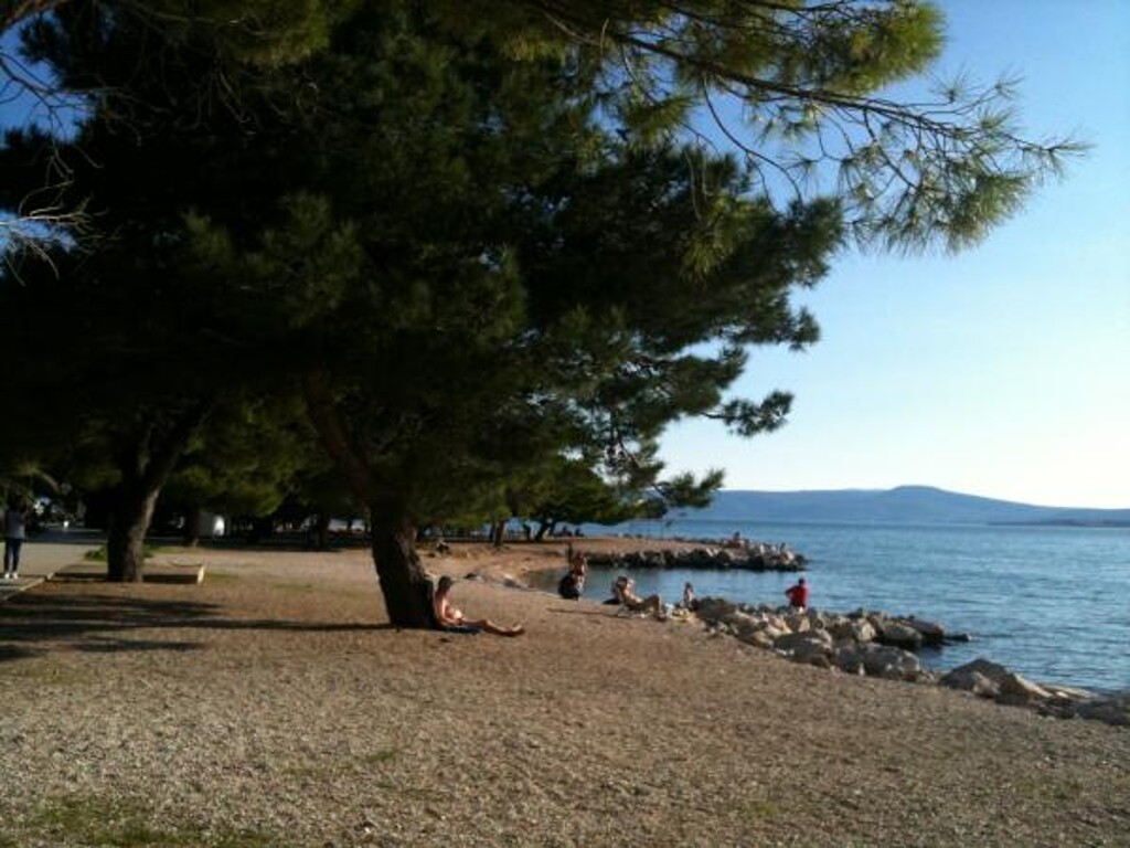 Image 3823102 - 12