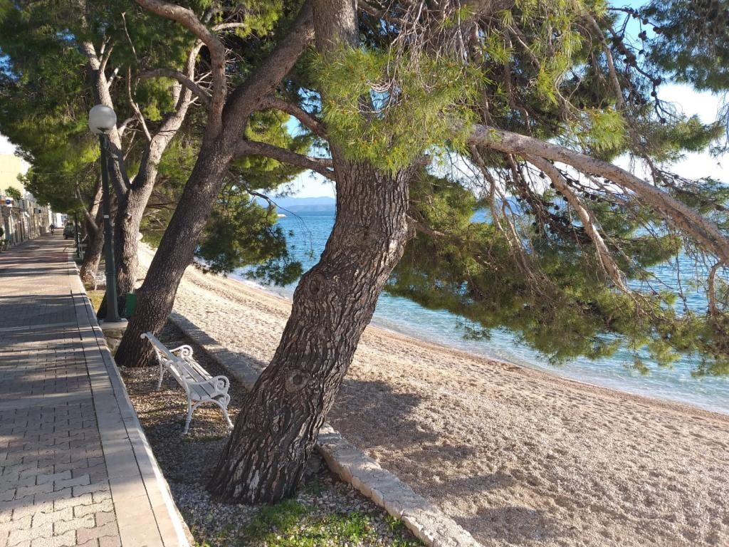 Image 3838720 - 1