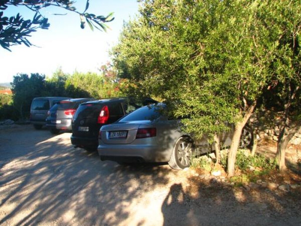 Image 3838509 - 9