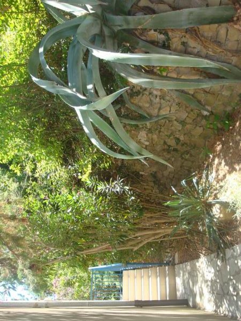 Image 3811584 - 9