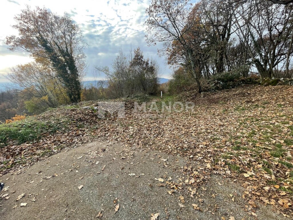 Image 13