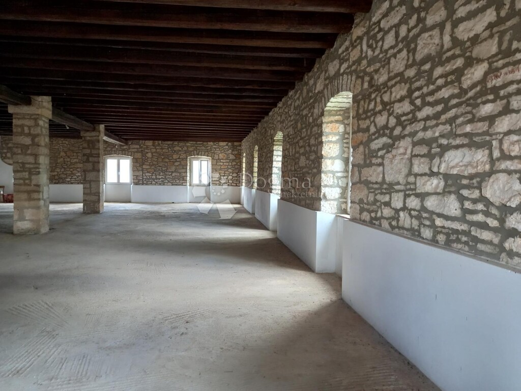 Image 13