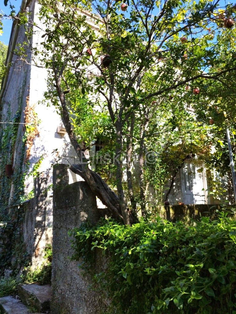 Image 6218126 - 3