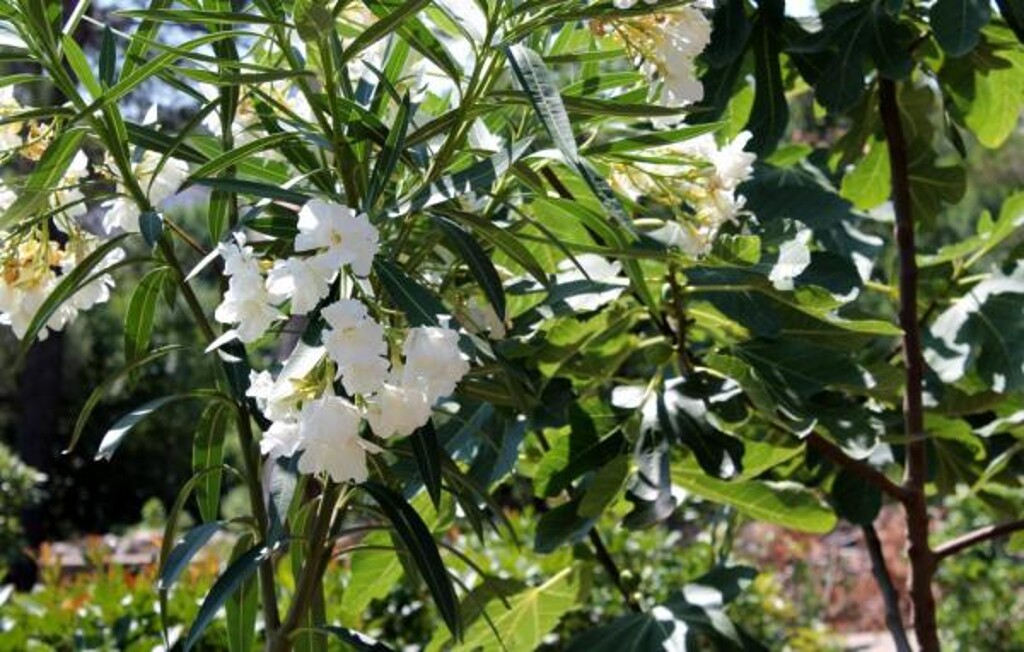 Image 3821810 - 25