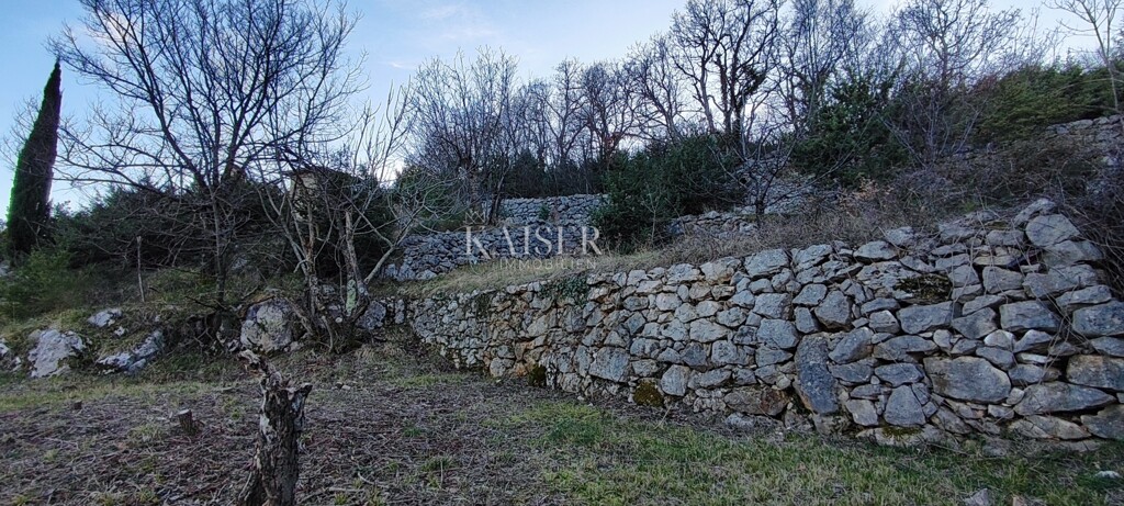 Image 16