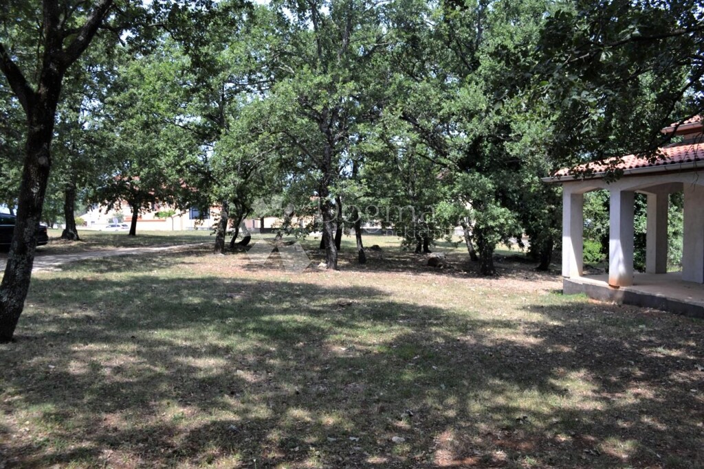 Image 9