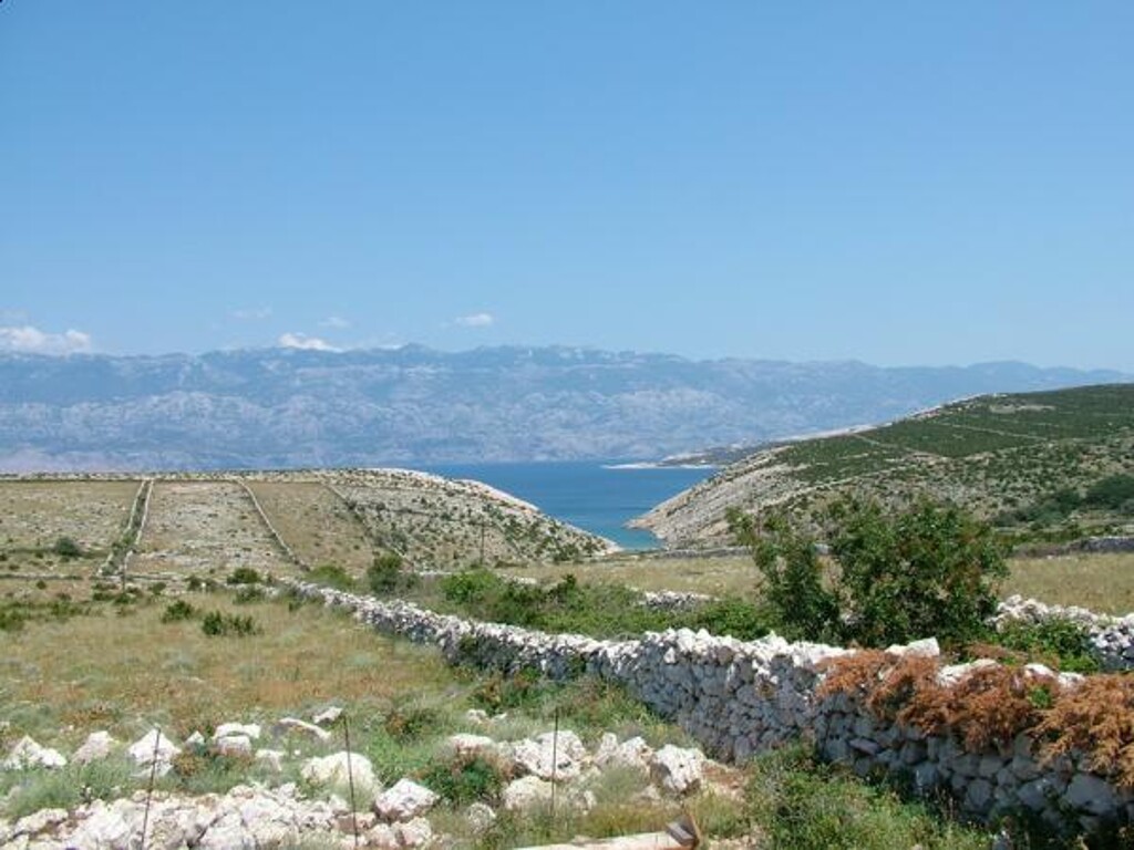 Image 3810555 - 12