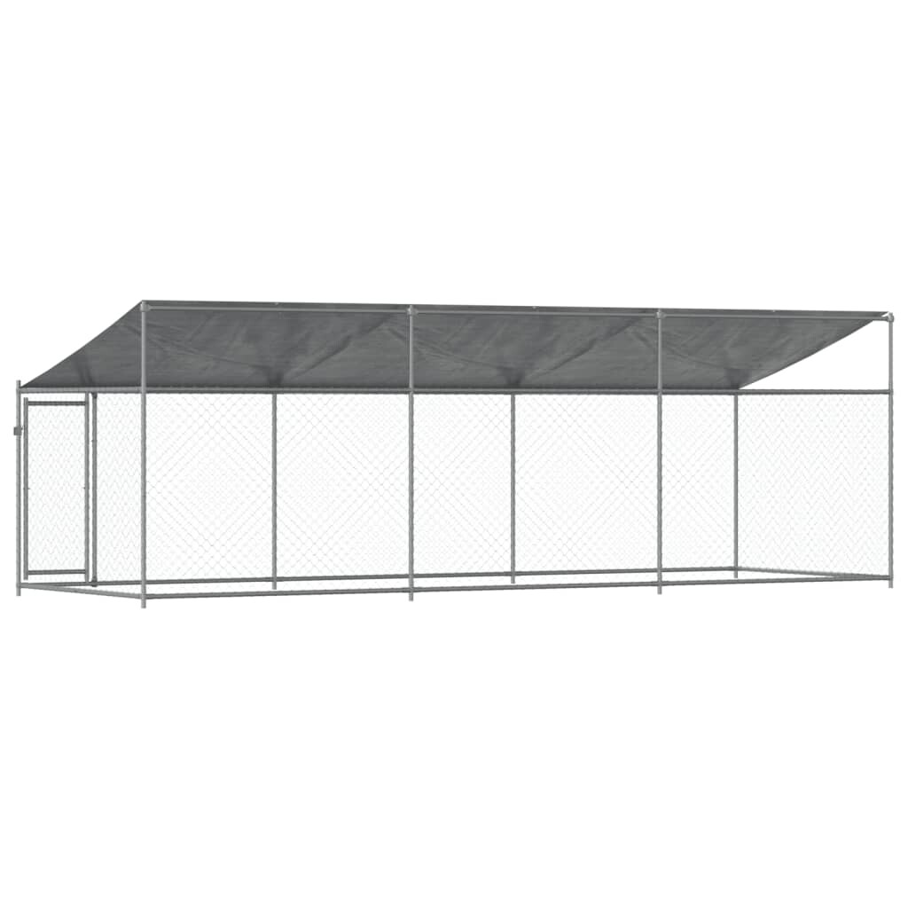 Image 5