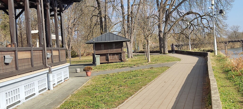 Image 12