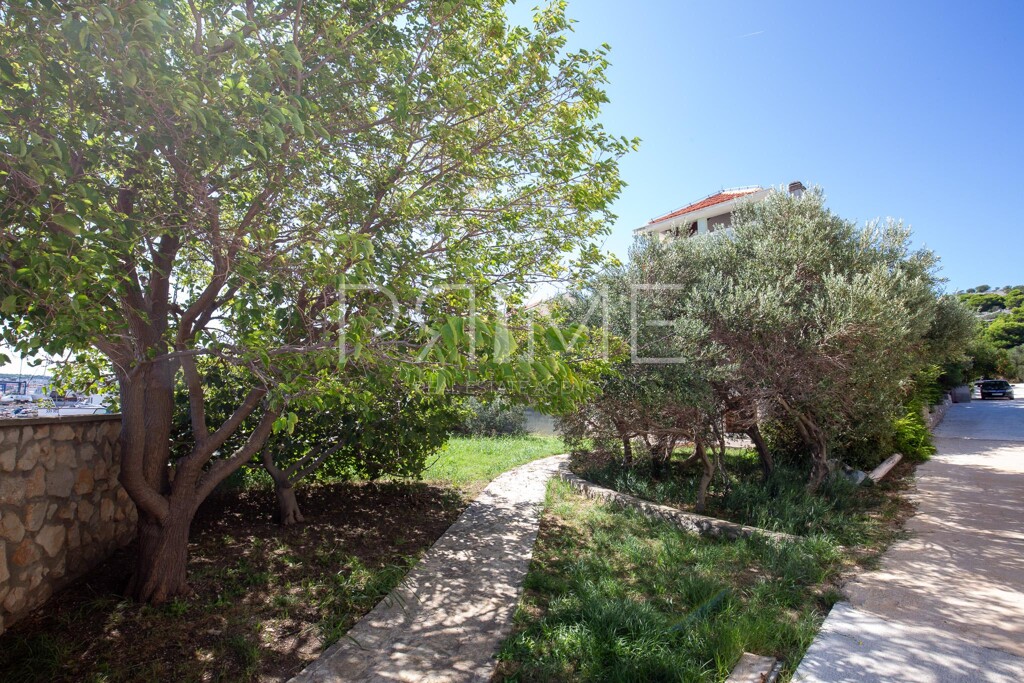 Image 11
