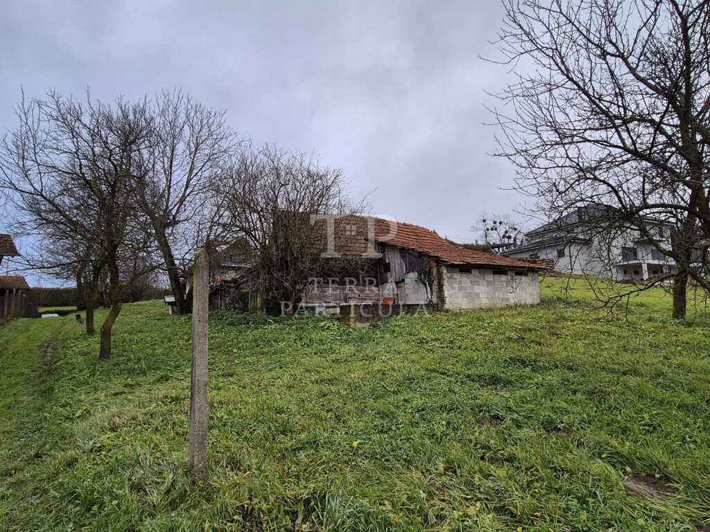 Image 22
