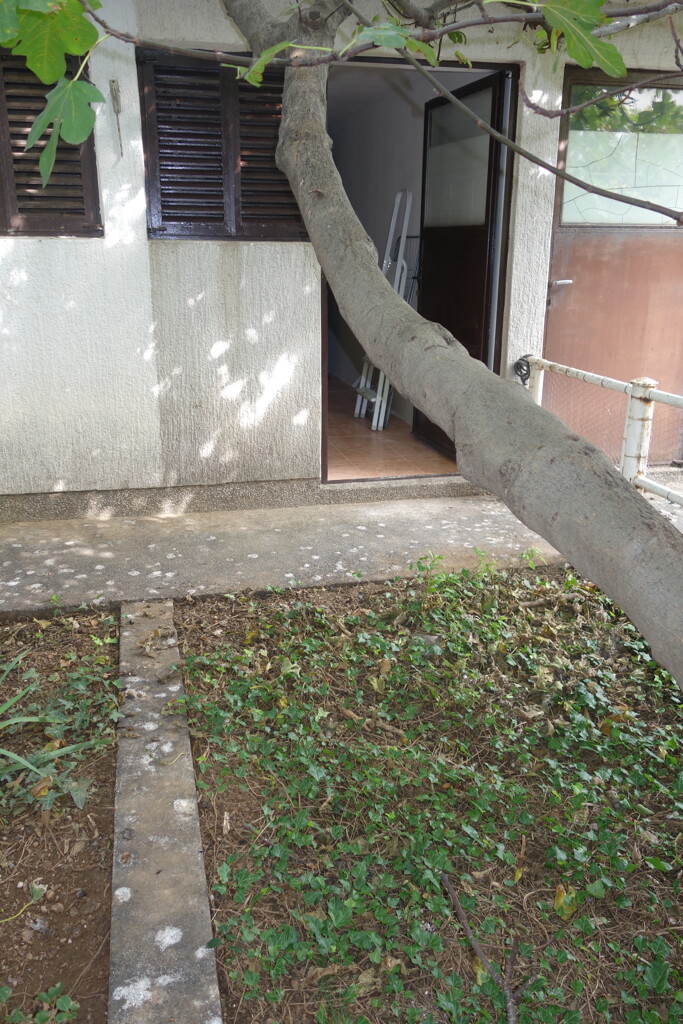 Image 14
