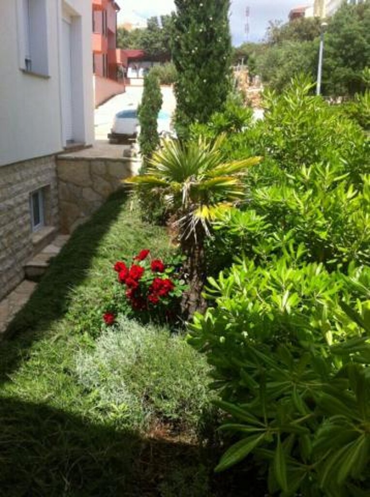 Image 3838711 - 4