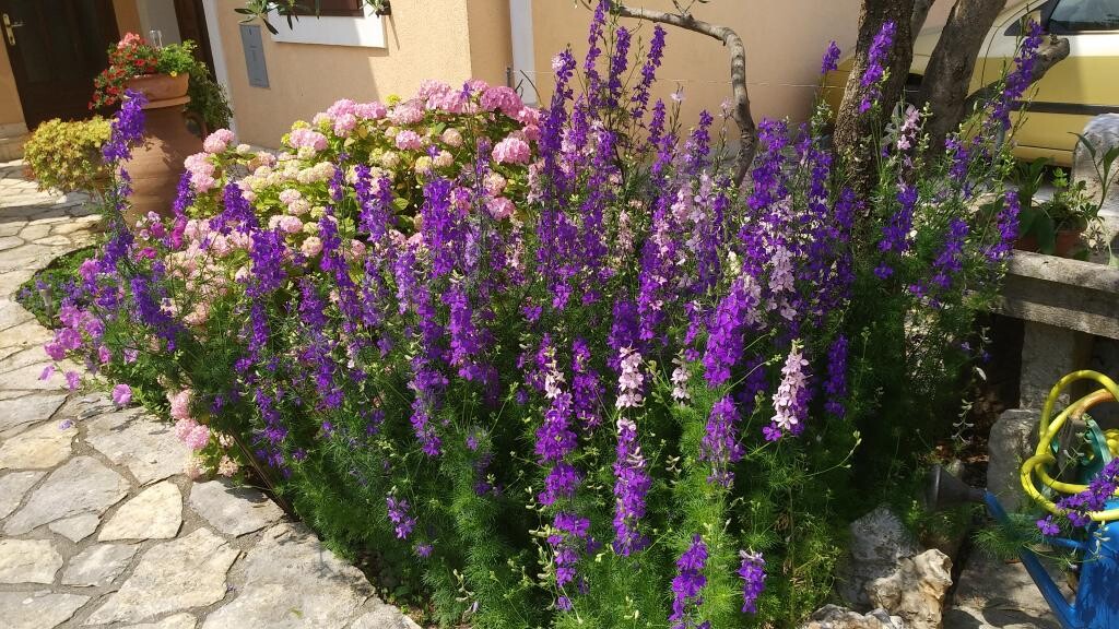 Image 32