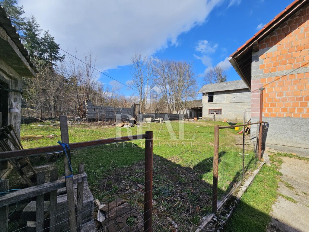 Image 21