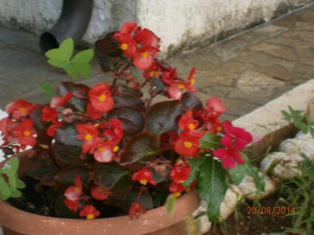 Image 3838929 - 11
