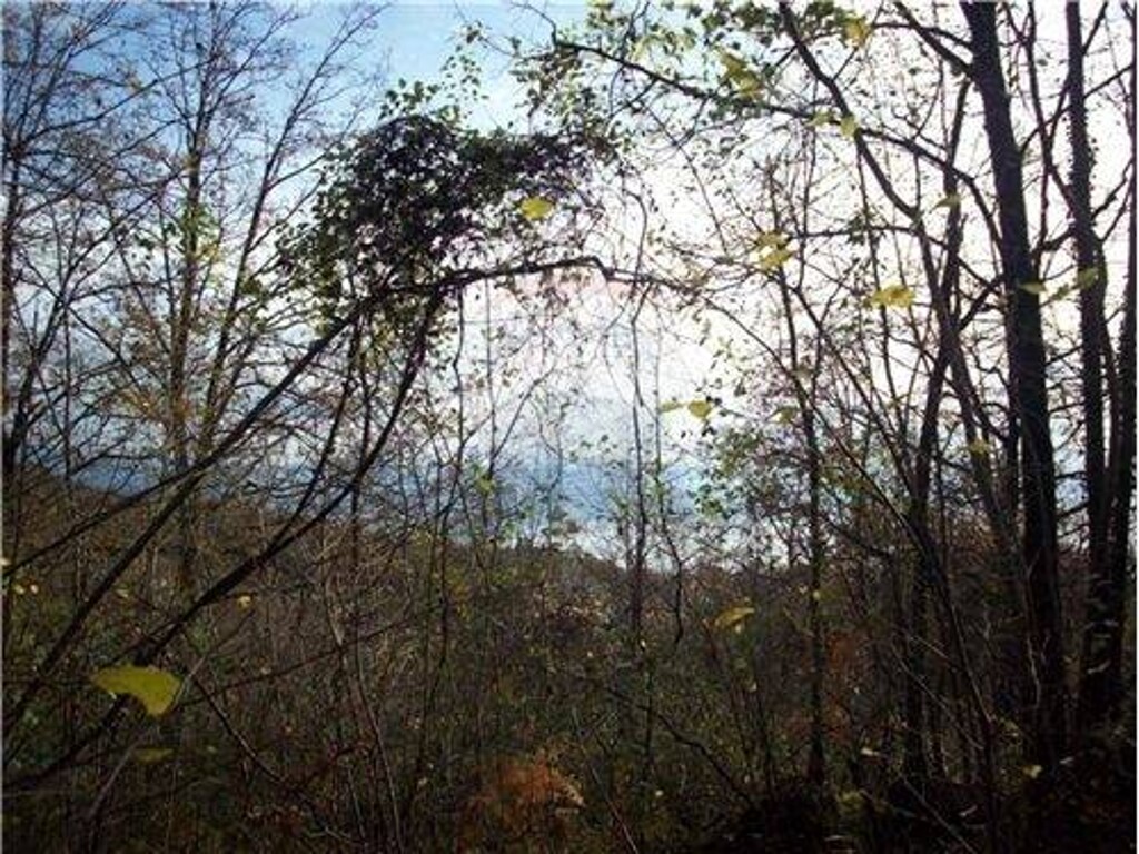 Image 5411401 - 1