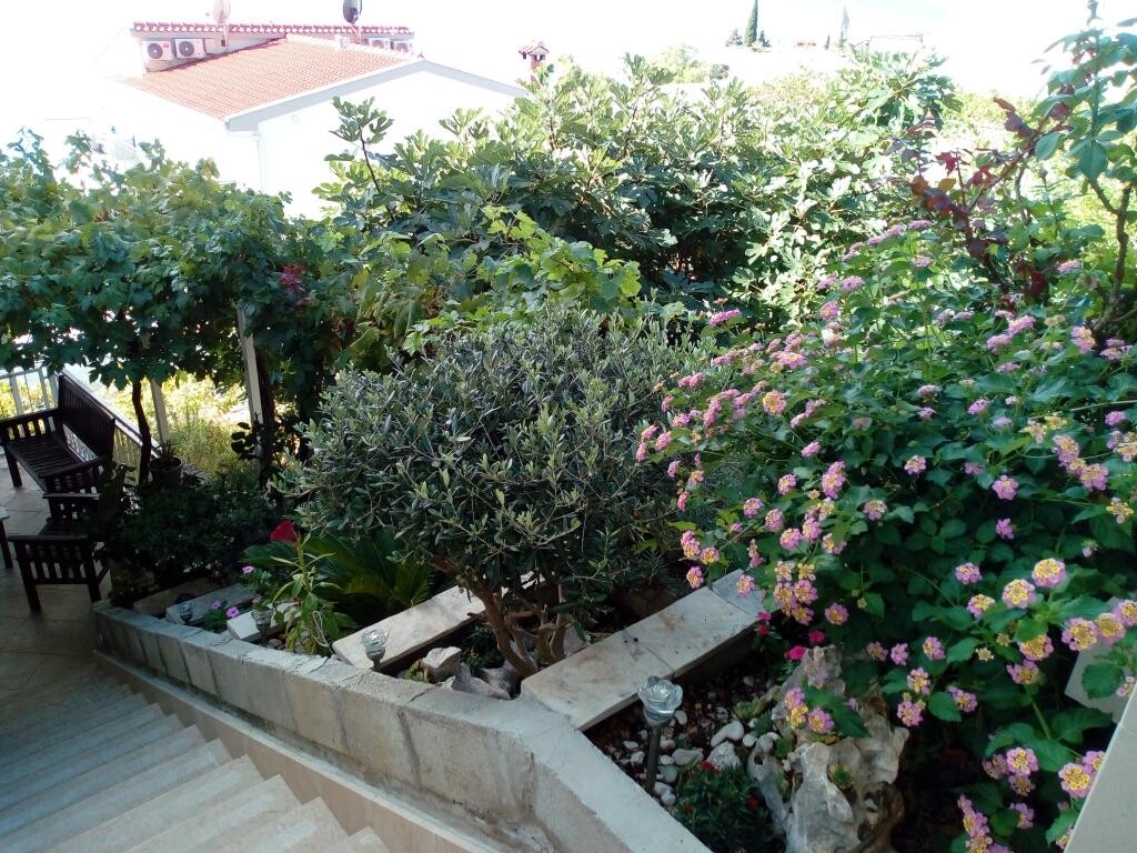 Image 3813566 - 5