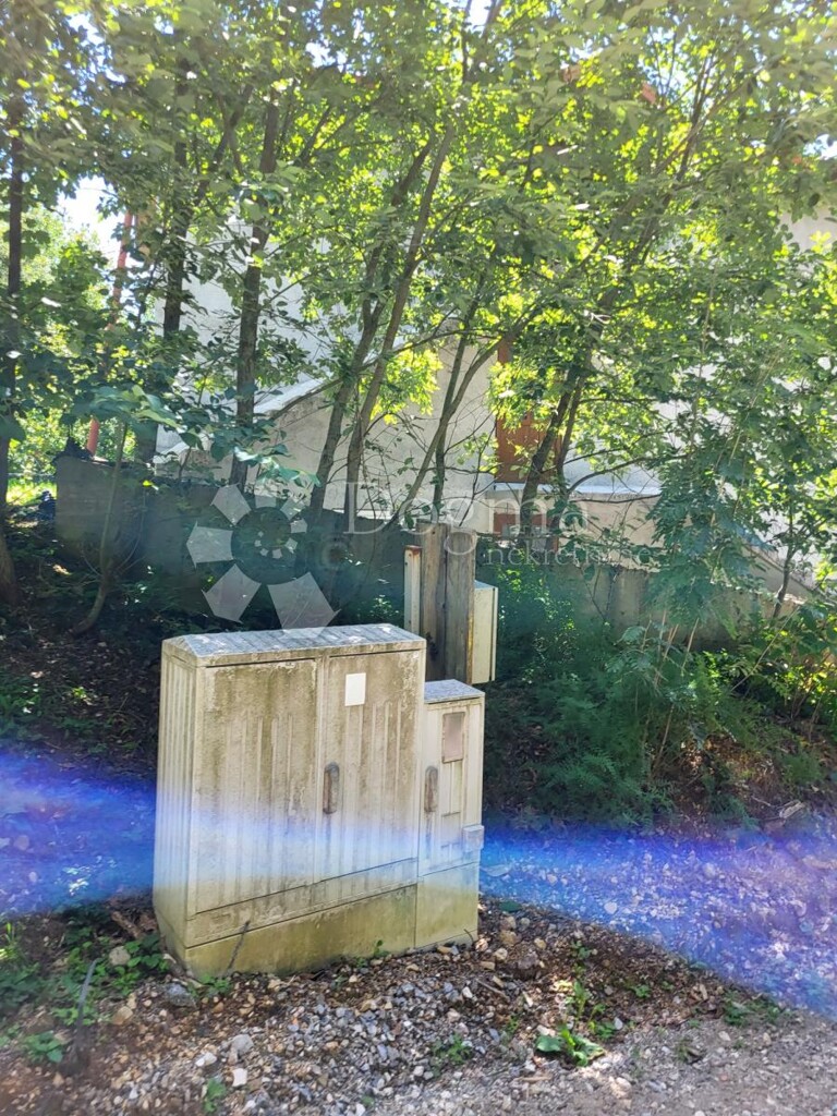 Image 13