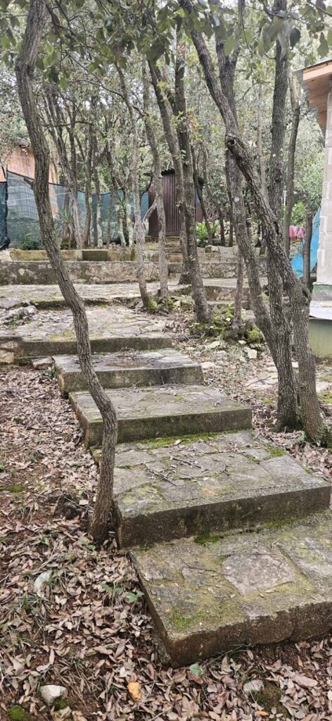 Image 15
