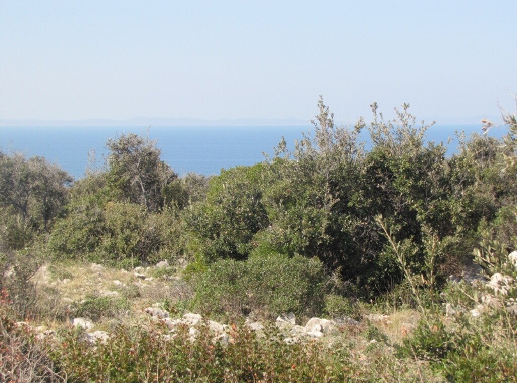 Image 4346576 - 3