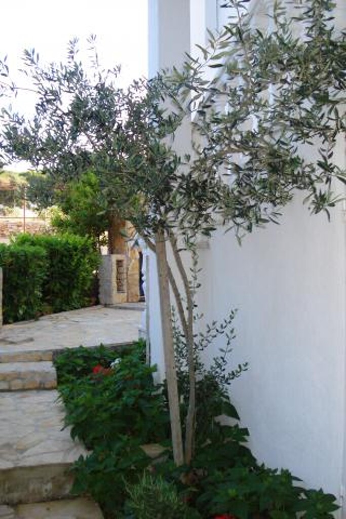 Image 3811784 - 3