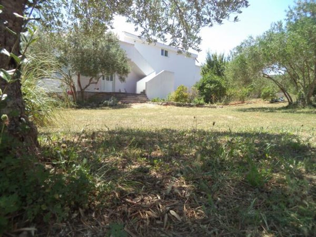 Image 3813070 - 4