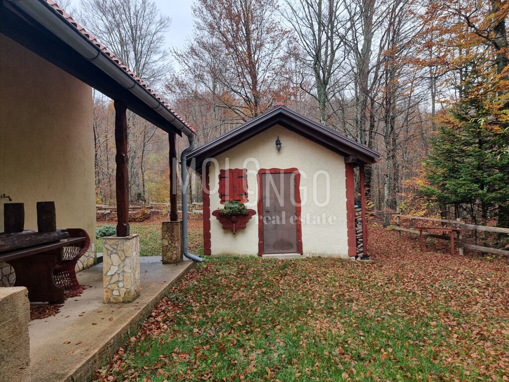 Image 14