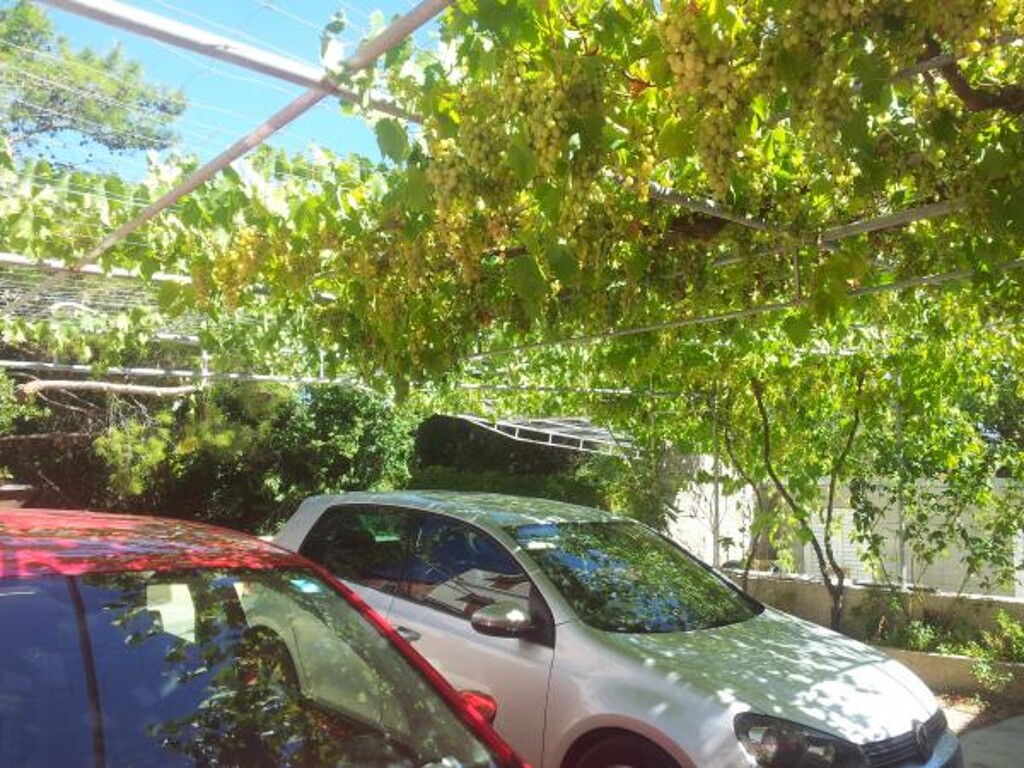 Image 3815319 - 3