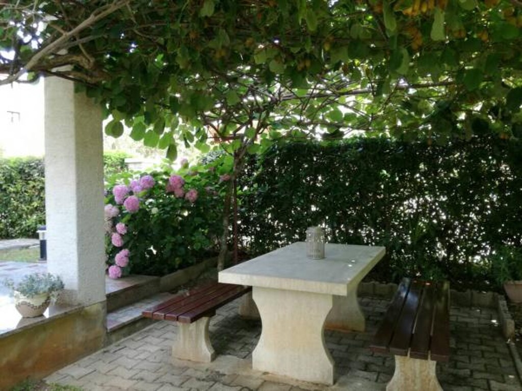 Image 3810723 - 9