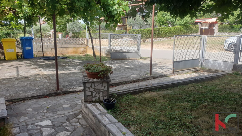 Image 13
