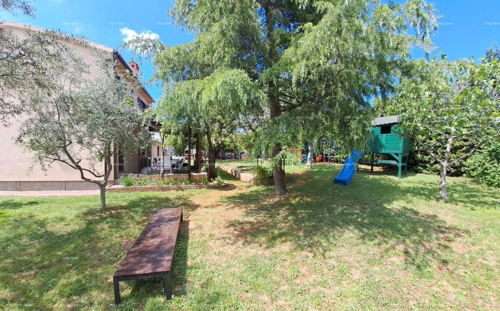 Image 15
