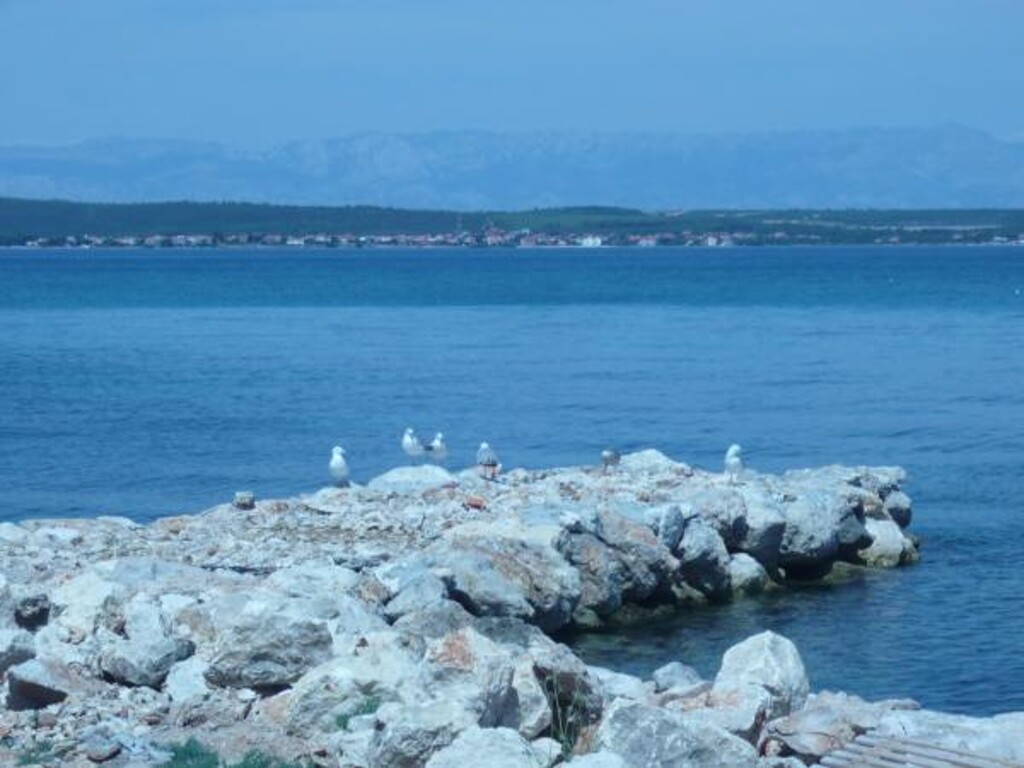 Image 3832237 - 11