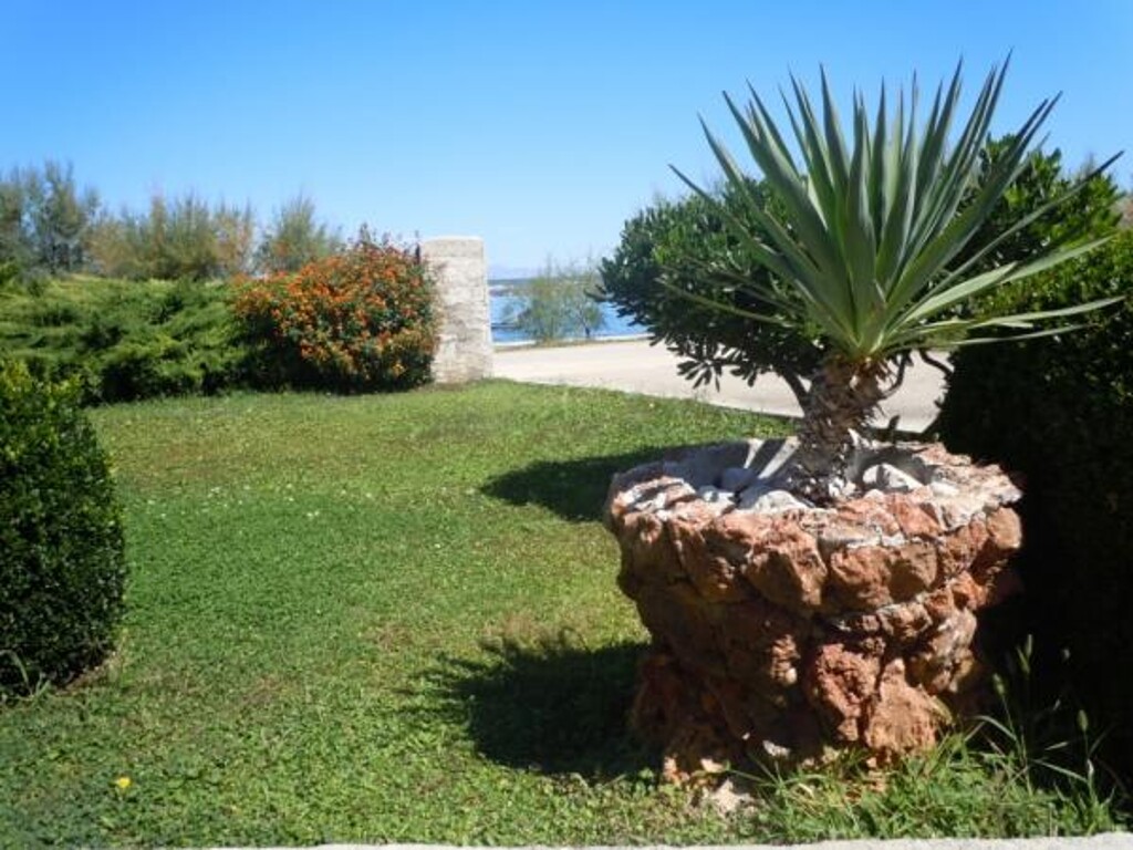 Image 3812516 - 1